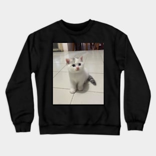 The little cute white cats Crewneck Sweatshirt